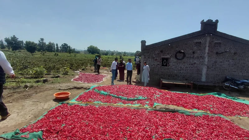कुष्ठ रोग खोज अभियान के तहत केंद्रीय दल ने बड़वानी जिले का किया निरीक्षण